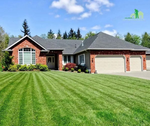 Lawn Care of Saint Johns Expands Services With Pet-Safe Product Options