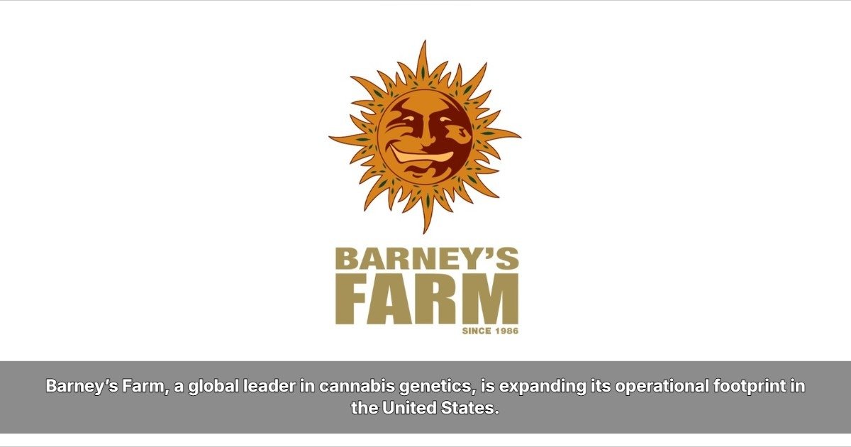 Classic Genetics Meet Modern Growing: Inside Barney’s Farm “Back to the Future” Initiative