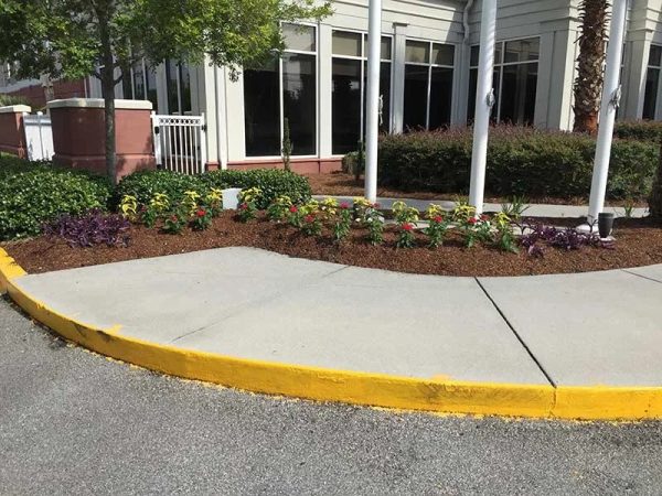 Turf Scouts Marks 15 Years of Residential Lawn Services in Savannah, Georgia