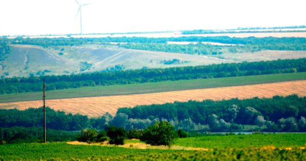 MAX Power Mining prezentowany w artykule redakcyjnym na temat zapotrzebowania na energię napędzanego przez AI
