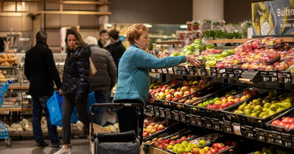 T-ROC Global Launches Scalable Assembly Services for Rapid Multi-Market Retail Rollouts